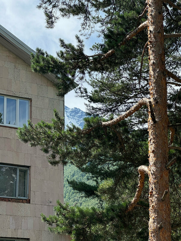 Зима-Лето Терскол — фотография 56, Терскол